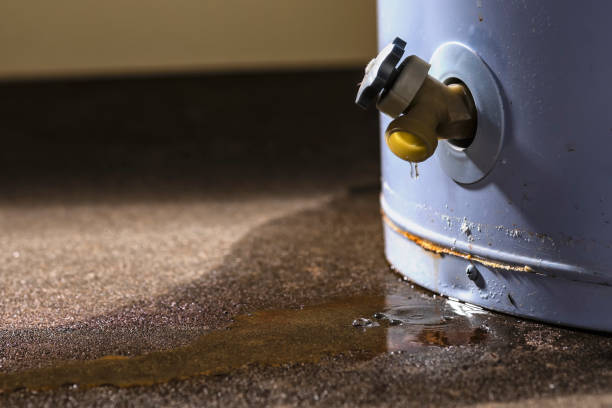 Best Sewage cleanup and water damage restoration  in Greenville, SC
