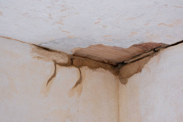 Best Mold removal after water damage  in Greenville, SC