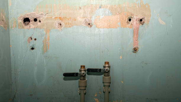 Best Mold removal after water damage  in Greenville, SC